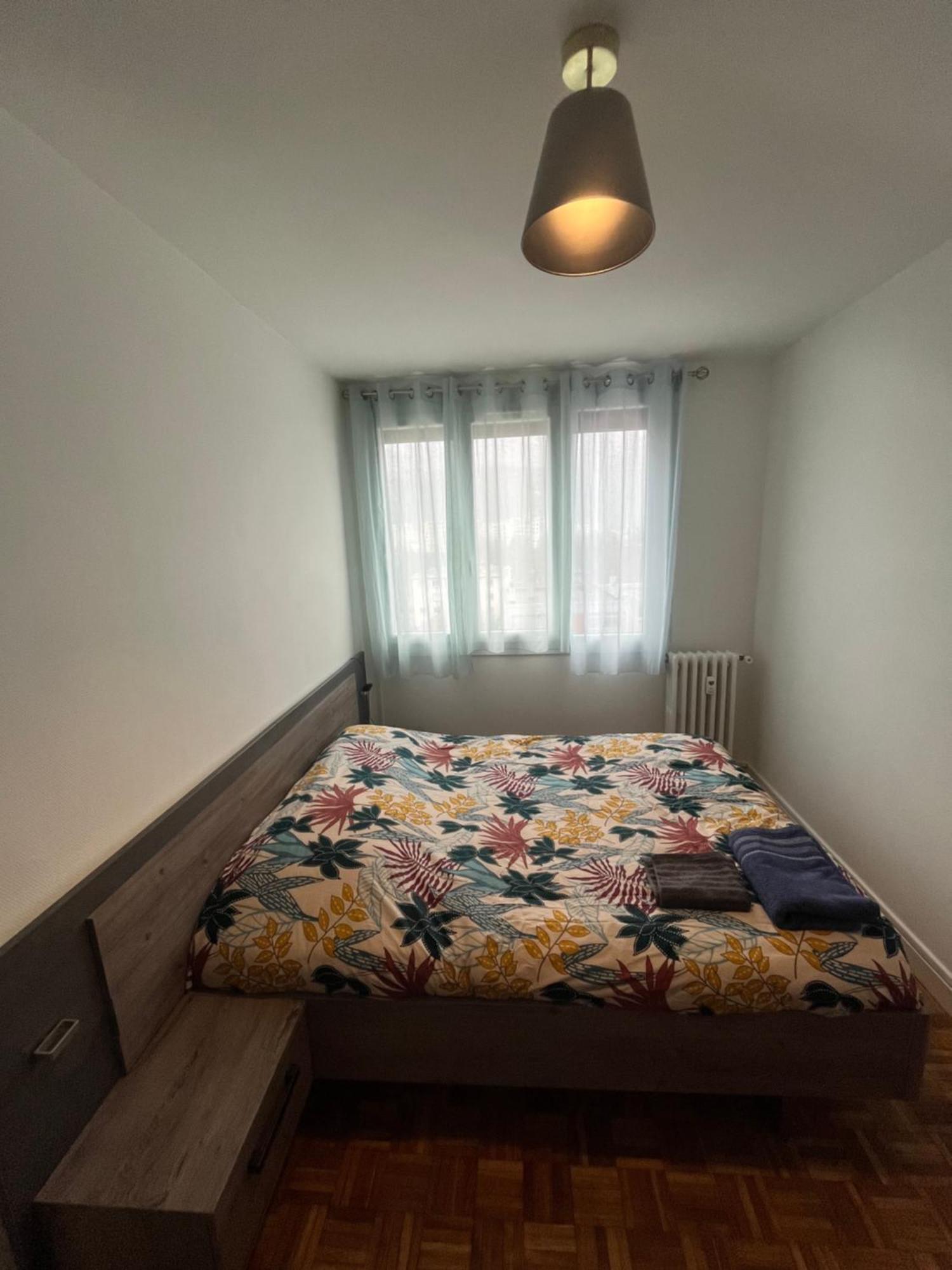 Le Chateau Apartment Fontaine (Rhone-Alps)